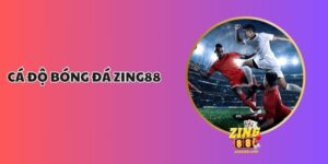 Cá Độ Bóng Đá Zing88