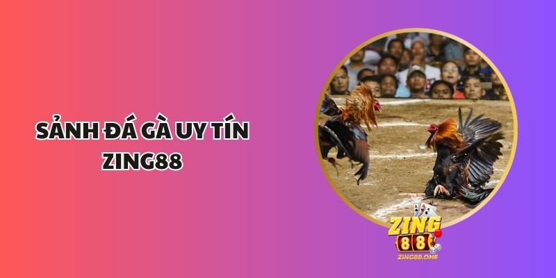 Sảnh Đá Gà Uy Tín Zing88 - Khám Phá Thế Giới Cá Cược Hấp Dẫn 1 Sảnh Đá Gà Uy Tín Zing88